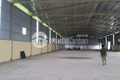 Chính chủ cho thuê kho 1130m2 kiêu kỵ, 50km2, container phóng