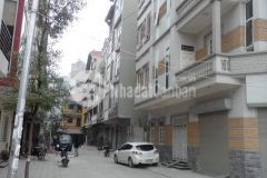 Biệt thự tây âu sang chảnh đẳng phân lô vip gara hai ô tô thông số vàng.