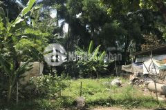 Vị trí tuyệt đỉnh đức giang long biên 51m2 đất mt5.8m ngõ thông ô tô đỗ cửa chỉ 4.4 tỷ.