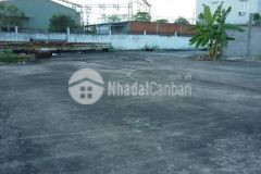 Cần bán gấp đất trống full thổ cư giáp q11, tb, q6 mt thoại ngọc hầu qtân phú dt khủng 2433m2