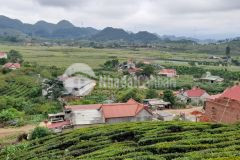 Chính chủ cần bán ô đất tk chiềng đi ttnt mộc châu, view thung lũng đồi chè