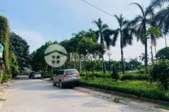 Hiếm thạch bàn lô góc, ô tô thông, nở hậu. tiềm năng vô địch nhỉnh 3 tỷ.