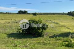 Chỉ 490tr có 4144m2 đất nông nghiệp bình tân gần đường liên huyện chỉ tháng 9 lh 0938677909 xem sổ