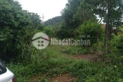 Mua ngay không mất lượt. chính chủ cần bán nhanh đất lâm trường minh phú dt 773m giá 1ty1.