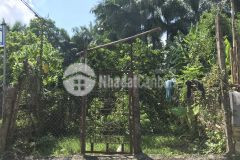 Sos duy nhất đẹp nhất mua 52m2 đất tặng gpxd nam đuống long biên chỉ nhỉnh 4 tỷ