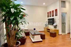 Mở bán gấp nhà đẹp ngõ 48 rộng phố nguyễn khánh toàn giá gần 4 tỷ