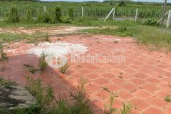 Bán gấp nhà đất vườn tỉnh tây ninh, 1600m2 sổ hồng chính chủ, chỉ 890tr. lh0903730956.