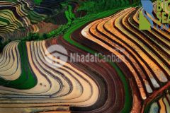 Bán mảnh đất phan cán sử y tý sapa 2 2200m2 có độ cao 2000m có view săn mây lý tưởng.