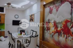 Nhà đẹp kinh doanh đỉnh,phạm thận duật,diện tích 46m2x5,10 tỷ.