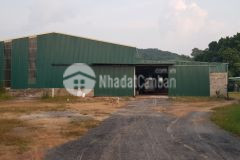 Bán đất 7078m2 đất tặng xưởng kiên cố tại lương sơn