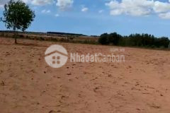 12000m2 ddất hồng thái, ngay đường quốc lộ, sổ hồng riêng