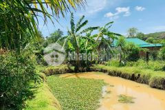 Bán nhà vườn hẻm 30 đường 195 rộng 1000m2 có hồ chỉ 1.250 tỷ