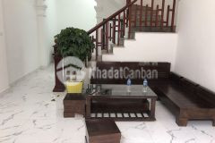 Ô tô đỗ cổng nhà mới nội thất cơ bản bán nhà phố trịnh văn bô.