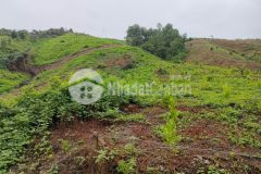 Bán gấp 5ha đất rsx bám suối tại lương sơn