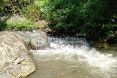 Bán đất 2.7ha ở bám suối tại lương sơn giá hơn 1 tỷ xíu