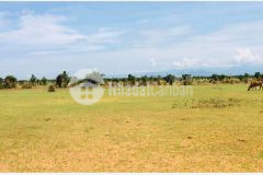 700 triệu sở hữu ngay lô đất vườn hòa thắng, kế lê hồng phong