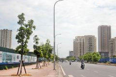 Cực phẩm phân lô,mạc thái tổ,cầu giấy,7t, thang máy,dt 55m2, mt 4.5m,giá 15.4tỷ