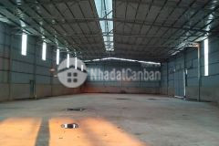 Cho thuê kho xưởng tại đường long phước, q9. dt 1800m2, giá 55km2