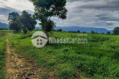 Bán đất cây lâu năm xã ninh tây, ninh hòa giá 650tr lh 0788.558.552