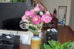 Bán nhà đường nguyễn văn đậu bình thạnh, xe hơi đỗ cửa, 48m2, 3 tầng