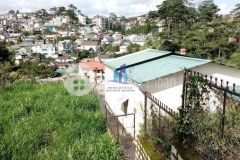 Bán đất đường nguyễn trung trực p.4 tp. đà lạt. diện tích 261.5 m² 10.0127.7