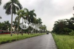 Bán đất biệt thự đường đôi nguyễn đình bể, kđt an phú, tp hd, 250m2, mt 10m, đường 75m