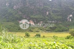 Bán gấp 3000m có 150 thổ cư view đồng, núi đá tại lương sơn