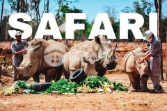 Chính chủ bán lô đất 1,4ha ngay safari rạng đông, ra đường nhựa 50 mét, lh 0937251240
