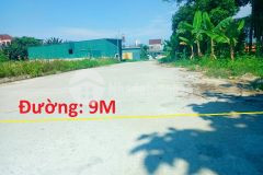 Bán đất ngõ đường nguyễn tiềm, phường đội cung, tp vinh