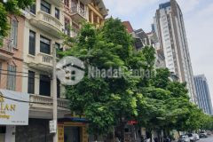 Bán tòa nhà văn phòng mạc thái tổ, dt 50m2 x mt 4.1m, 7 tầng, phân lô vỉa hè, 15.4 tỷ