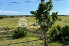 Ưu đãi tháng 9 khi đầu tư đất vườn bắc bình chỉ 1,19 tỷ13,748m2 lh 0938677909 xem sổ