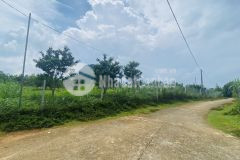 Bán gấp 4530 full đất ở, đường rộng tại cao phong