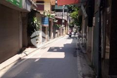 Biệt thự siêu sang lô góc ô tô phóng vù vù ngõ thông kinh doanh đỉnh