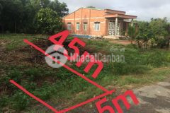 Đất giá rẻ 5x45tc phước thạnh gò dầu tây ninh chỉ 489 triệu