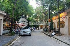 Bán biệt thự kđt định công 88m2 4t mt4m gara ô tô vỉ hè kinh doanh giá 15.3 tỷ