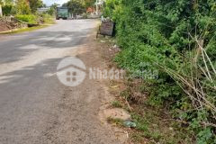 Bán lô đất mộc châu khu du lịch quốc gia