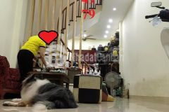 50m2 x 4 tầng, phố trần đại nghĩa, nhà quận hai bà trưng.