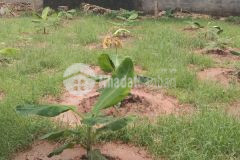 Chính chủ bán 100m2 đất cao viên thanh oai giá rẻ nhất chỉ 900 triệu mt 5,9m ngõ ô tô lh 0918015333