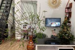 Hơn tỷ có ngay 36m,c4, mt4, xuân phương, nam từ liêm, 0963501101.