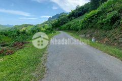 Cần tiền bán gấp 5.6ha đất rsx bám đường nhựa liên xã tại kim bôi