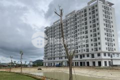 Nhận hồ sơ mua noxh ecohome quy nhơn trực tiếp cđt 30 nhận nhà, vay 0 18th, free phí ql