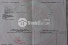 Bán 239.3m2 đất full thổ tại chơn thành, shr, chỉ 950tr. lh0932645898.