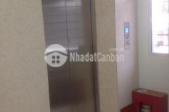 Nhỉnh 11 tỷ sở hữu ngay ccmn hơn 20 phòng trần đại nghĩa doanh thu 1 tỷnăm.