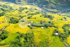 Bán lô đất sapa view thung lũng mường hoa và ruộng bậc thang ngút ngàn.giá cắt lỗ covid
