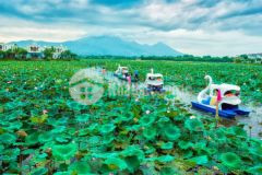 Nóng chỉ từ 5,5 tỷ sở hữu biệt thự full nội thất 5 dự án vườn vua resorts and villas