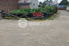 Bán đất thụy lâm đông anh 150m2,,mt10m, giá chỉ 2xm2, lh0987729335.