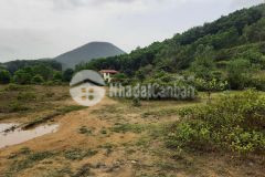 Chính chủ thiếu tiền cần bán nhanh lô đất 2,250m2 có thổ cư tại thạch thất.