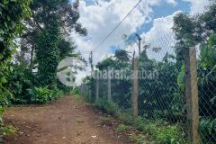 Sản phẩm siêu hót cho nhà đầu tư sát bên dự án logistics, ngay khu dân cư đông đúc.