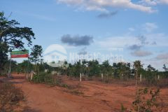 Gia đính cần bán thu hồi vốn lô đất hồng thái diện tích 5000m2