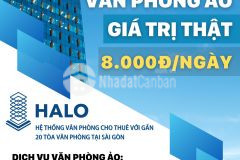 Thuê văn phòng ảo đả đảo covid
